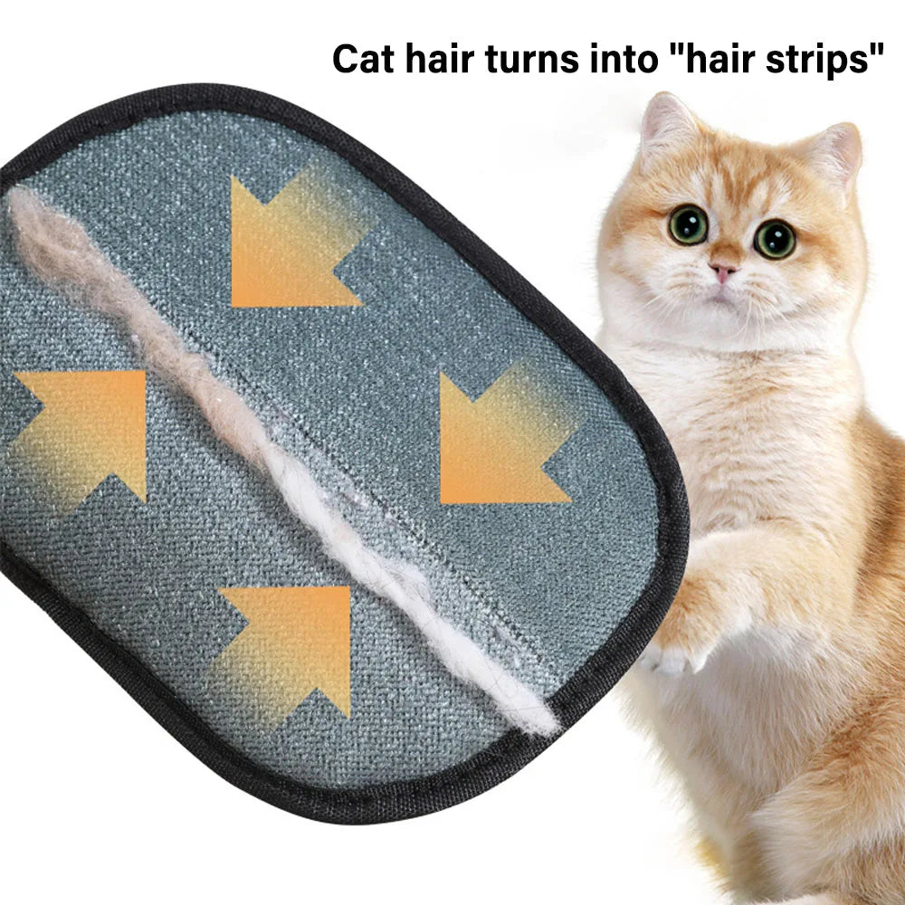 Zap Trap